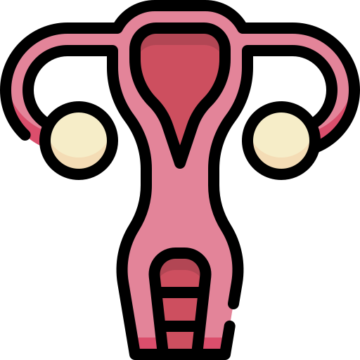 Gynecology